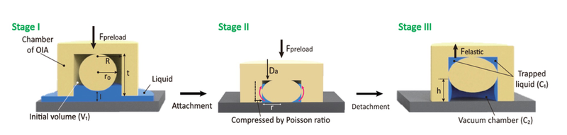 Image: Sang-Yul Baik et al